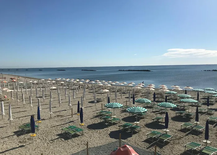 Scacchi 11 Apartament *